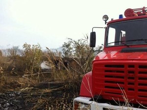лесной пожар под Киевом
