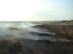 торфяной пожар киев