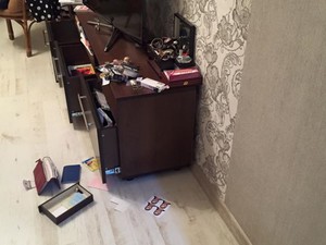ограбление квартиры нардепа в Ирене