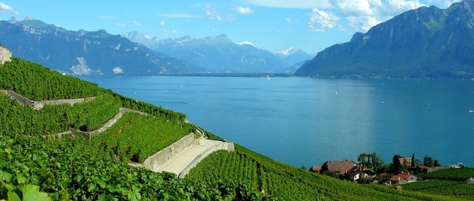 Швейцарский виноградник Лаво входит в список культурного наследия ЮНЕСКО